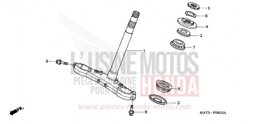STEERING STEM CBR1100XXY de 2000